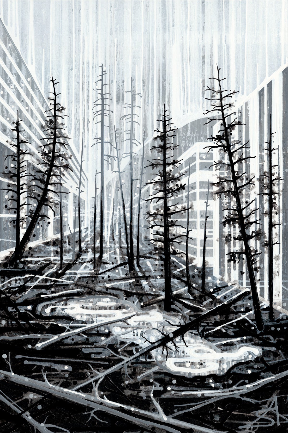 Windfall (Toronto + Banff + Kootenay National Park)
