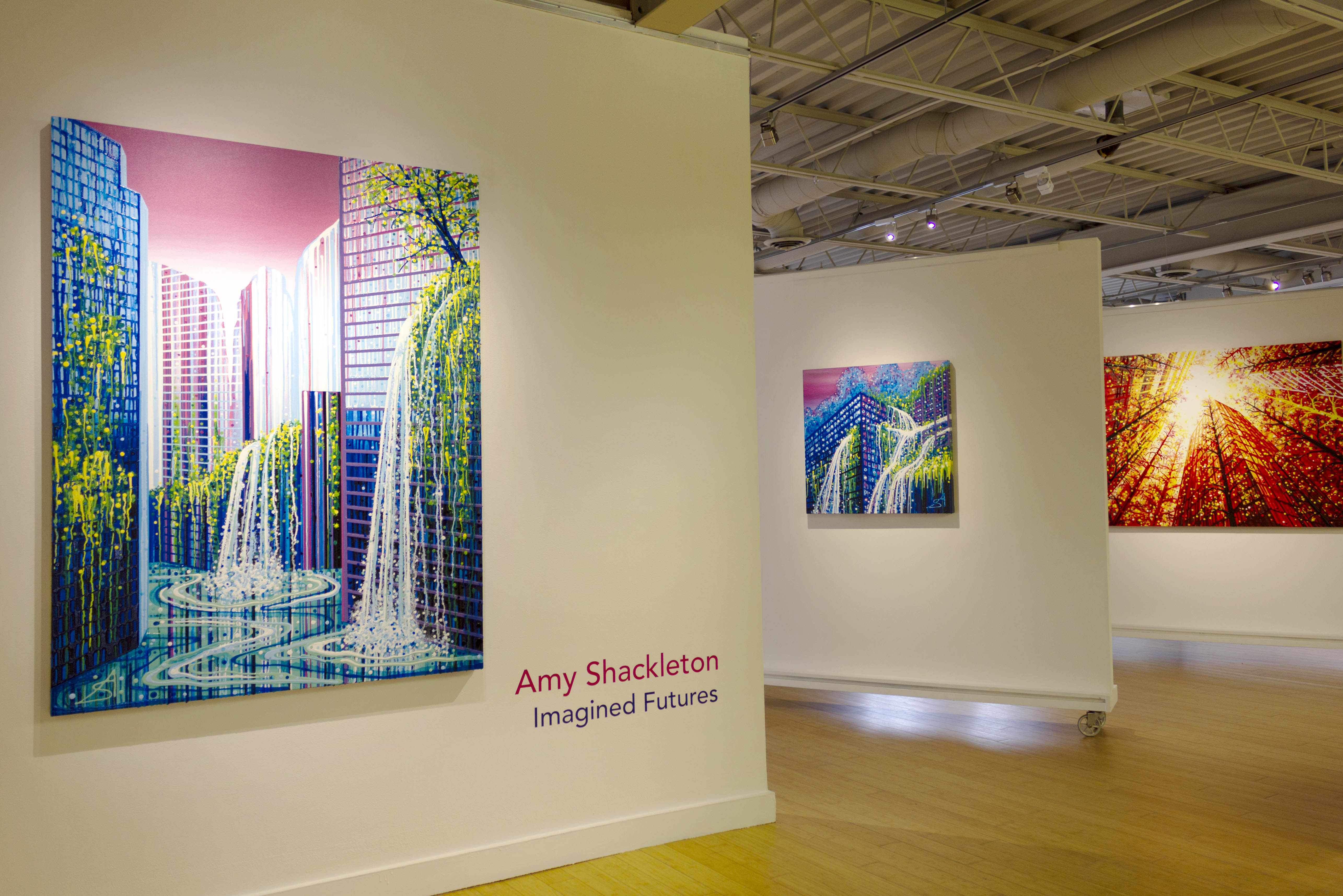 Shockleton Artist Amy Shackleton - Gravity Artist