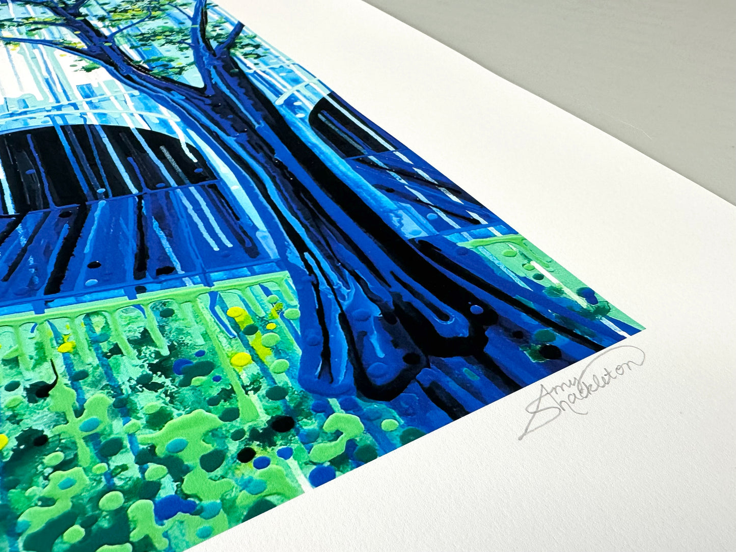Museum of Nature (London), Limited Edition Print